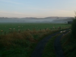 delwedd heb ddisgrifiad cyx