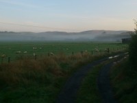 delwedd heb ddisgrifiad cyx